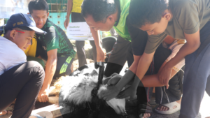 Qurban berkah di Yayasan Ihsanul Fikri