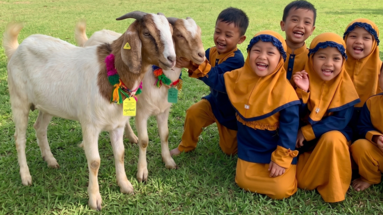 Makna qurban untuk anak, menjelaskan idul adha ke anak, parenting islami qurban, hikmah qurban bagi anak usia dini, KB TK IT Asy Syafaa