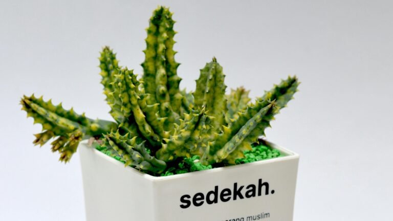 manfaat sedekah untuk kesehatan, sisi lain sedekah, manfaat psikologis berbagi, kenapa sedekah bikin bahagia, efek sedekah bagi tubuh, cara menumbuhkan mindset kelimpahan, sedekah sebagai perekat sosial, sedekah